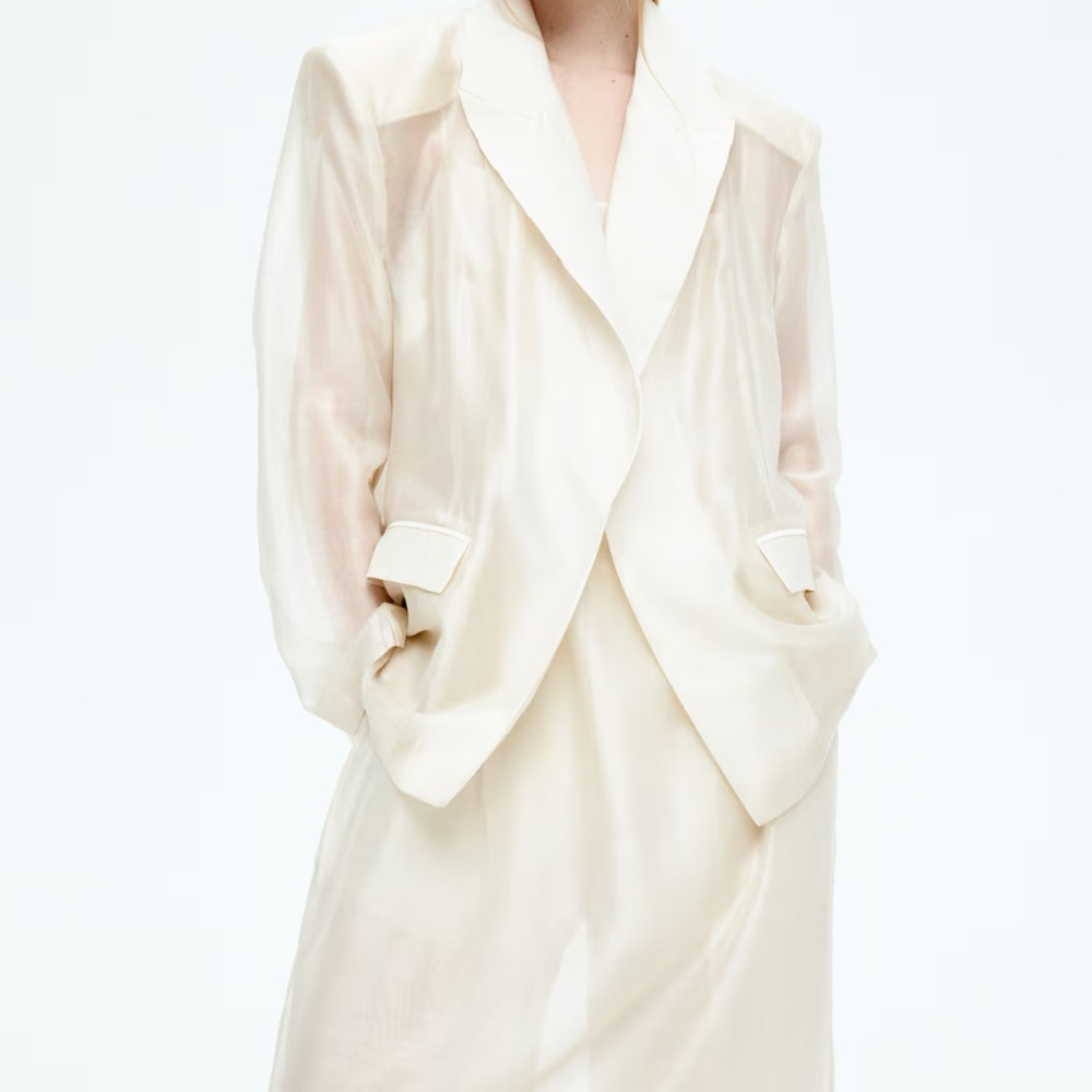 H&M Edition Sheer Oversized Blazer